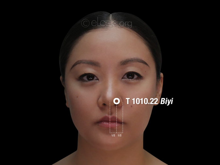 Biyi (T 1010.22) Master Tung's Acupuncture eLotus CORE